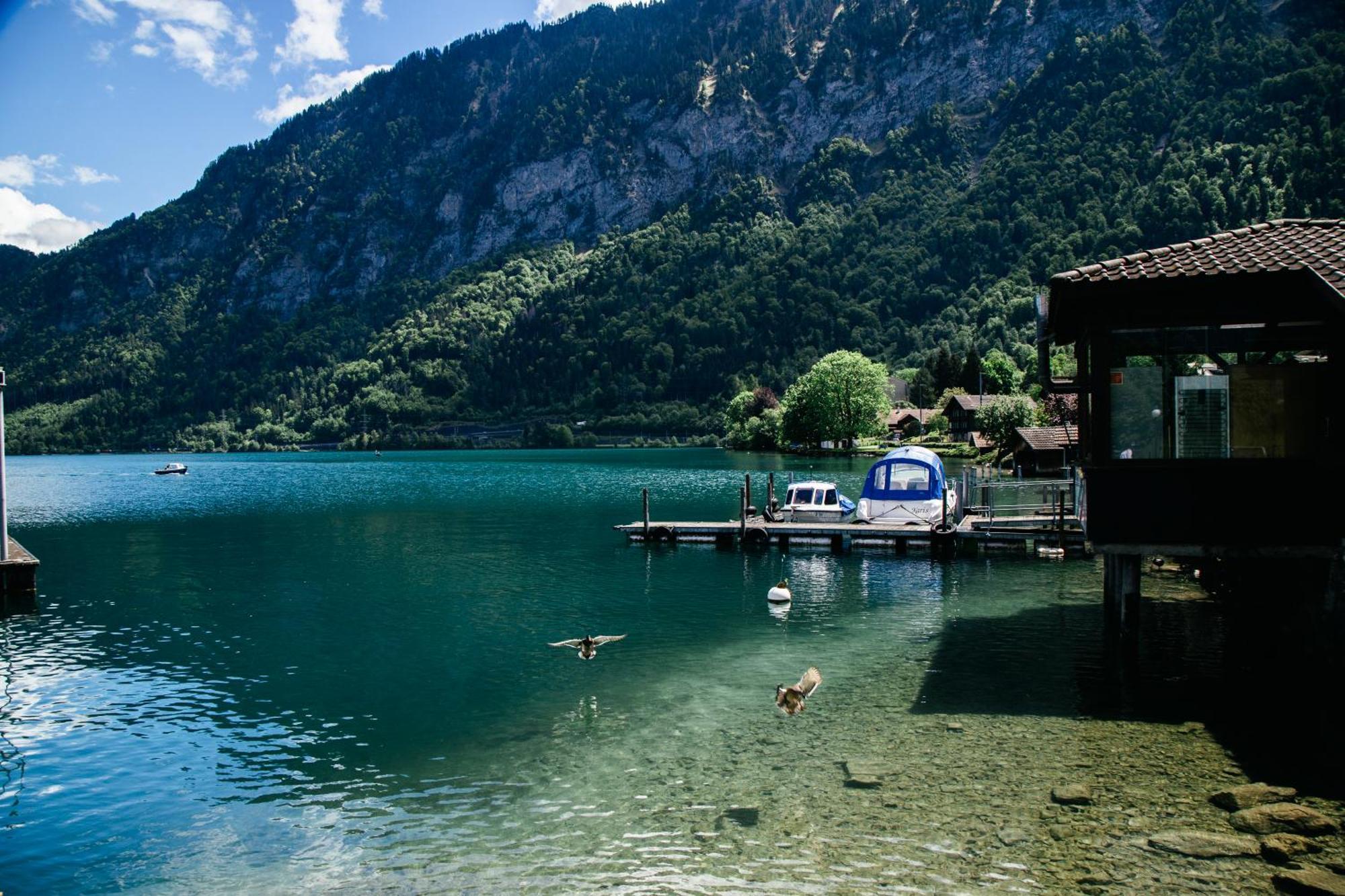 Appartement Au Bord Du Lac à Därligen Extérieur photo